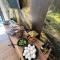 Blisku do Gradot - Riverfront Luxury Cabins