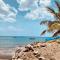 Kay Alice - Beachfront Villa - Le Carbet