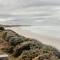 Banksia Beach House