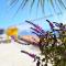 Eden Sun - A Modern Luxury Villa with a Panoramic View