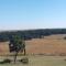 Linglela Lodge - Estcourt