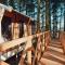 Glamping Mazury - Przystań Jeziorany