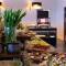 Marena Wellness & Spa