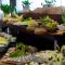 Marena Wellness & Spa