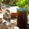 Casa Noma-Noma Holbox - Holbox