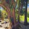 Corfu Dream Kanoni Apartment