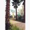 Sunbird 0908W 'Captain's Cove' - بنما سيتي بيتش