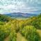 Getaway Cottage, Pickleball Court, Creek, WIFI, Mountain Views, No Cleaning Fee