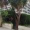 3 beds 10min from Palais Festival - 15 min from Croisette - Cannes Downtown - Le Cannet