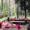 Il Bosco del Lebbio