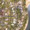 Welcome to the Kinglet's Nest, Spacious property with AC SHARC, Hot-tub, Bikes, Games, Grill, Golf and Pets - صنريفير