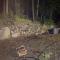 Red House w/ Access to Sebago Cove - Naples
