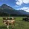 Steinbock Bed & Breakfast