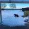 Sea view house - all year round - Frørup