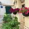 Diocletian wine studio apartment II - Split