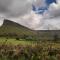 Willow Cottage Accommodation - Sligo