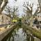 Magnifique mas provençal avec piscine au centre de Goudargues - Гударг