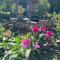 Ferienhaus bei Juste