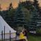Valea Doftanei Glamping