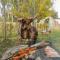Casa Rural Los Coirones 4Pax By Inside