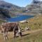 Mansarda Vista lago a Campodolcino