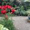 The Garden Flat