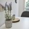 Duplex Condo Prime Location 2bth 2 Studios - Sofie