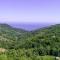The Mushroom Cottage - Anilio Pelion