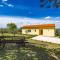 Villa Rok in beautiful olive oasis, 2BD, pool, WIFI - Puntera
