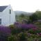 Moira's Cottage - Calitzdorp