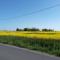 Heimat