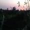 Kabera House 2