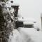 Foresteria Curt d’Amun - Calorosa casa in montagna a Rore