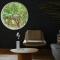 El Colibri Hotel & Spa