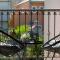 Apartment Masuni