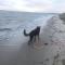 Strandperle 2