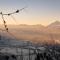 Apartments Evandi - Ferienwohnungen in ruhiger Lage - Schwaz