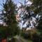 Rustico Pucon
