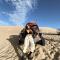 Duna Camp Huacachina