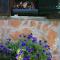Durmitor Chalet