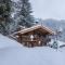 Green Chalet from Centuries ago