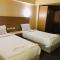 Regency Hotel - 开罗