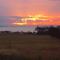 Sunset Dreams across the Sea