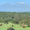 Kilaguni Serena Safari Lodge