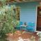 Blue House In The Woods- Amirim