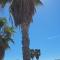 Apartamento Chilches Vistas al mar
