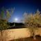 Zaton-Nin Holidays - Olive Apartment
