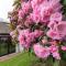 Pass the Keys Acorn Lodge · Luxury Retreat In a Stunning Oasis With Hot Tub - 马基特德雷顿