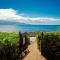 Stunning Maui Direct Ocean front on the beach, Walk to beach from Condo, Watch Turtles, Whales, AC in all rooms ocean view Pool and Spa