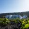 Vinebranch Villa - Vourvoúlos